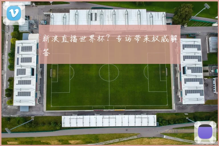 新浪直播世界杯？专访带来权威解答