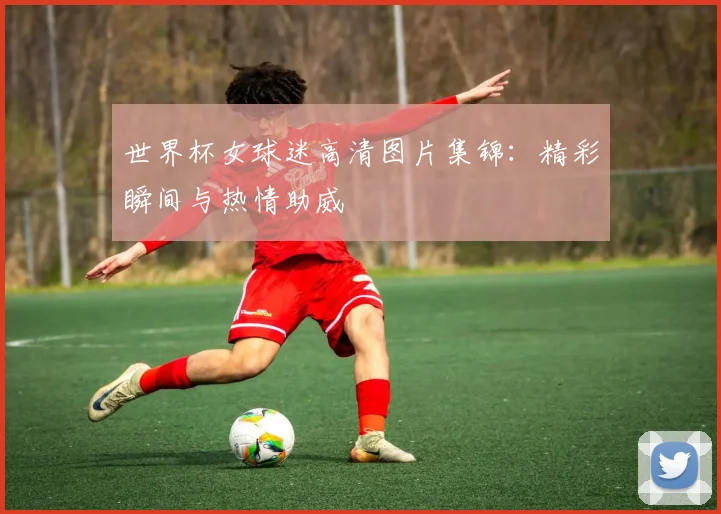 世界杯女球迷高清图片集锦：精彩瞬间与热情助威