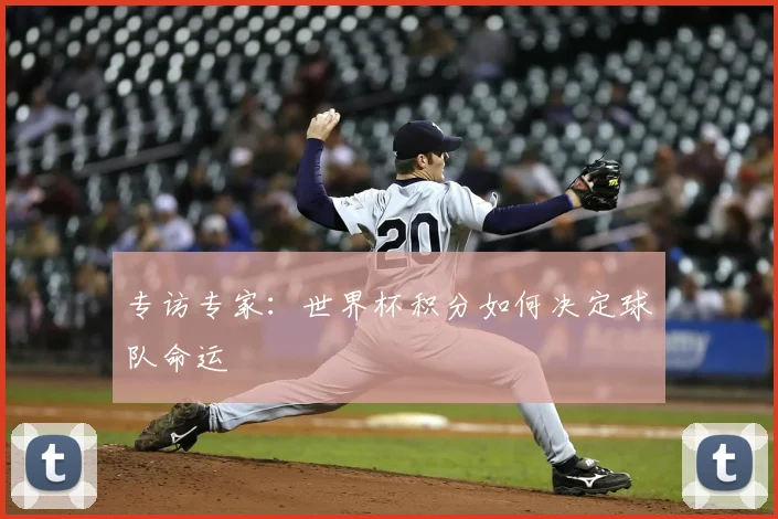 专访专家：世界杯积分如何决定球队命运