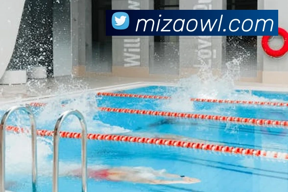 App Interface Preview